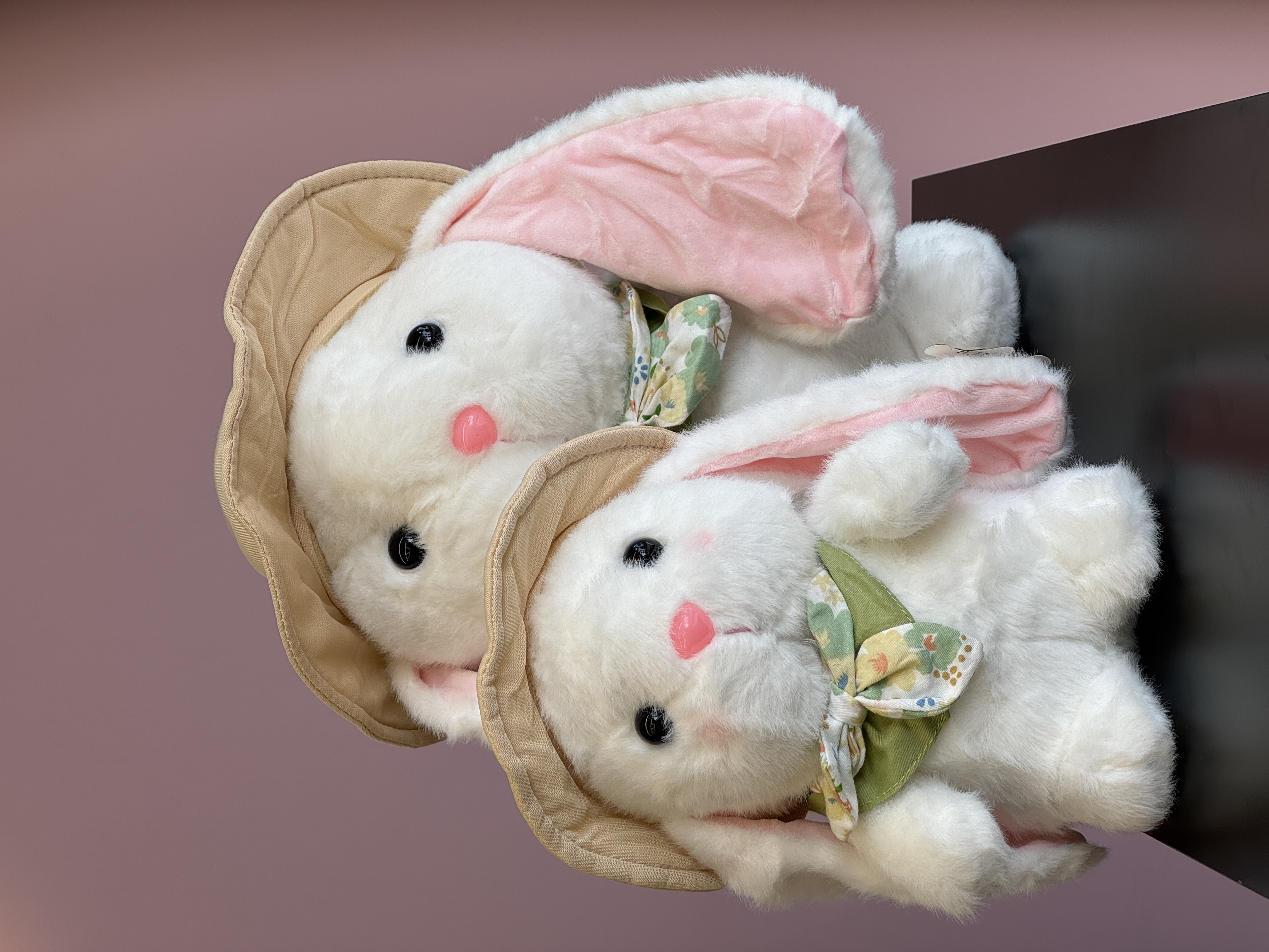 خرگوش ناز کلاه دار